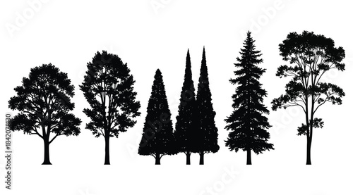 Silhouette illustration of six unique tree shapes with varied foliage and branching styles – ideal for botanical references, landscape design, environmental visuals, and artistic studies of tree form 