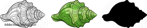 Conch Shell or Sea Snail Design in Outline, Color Engraving, and Silhouette Styles.