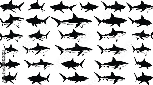 Collection of dynamic shark silhouettes in various detailed swimming poses, perfect for ocean wildlife themes, marine life vector illustrations, underwater predator design and graphic projects