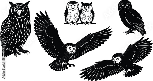 Collection of expressive owl silhouette vector illustrations featuring perched and flying poses, detailed feathers, nocturnal wildlife artwork, perfect for nature design, creative projects