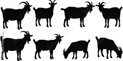 Collection of goat silhouette vector illustrations featuring standing and grazing poses, detailed farm animal shapes, perfect for agriculture design, rural artwork, creative projects