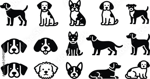 Conceptual representation of a vector file format, symbolizing digital media, design assets, and creative technology in modern computer graphics and software development.