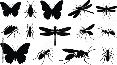butterfly and insect silhouettes set, dragonfly, fly, ant, wasp, mosquito, black vector icons, nature, bug collection illustration
