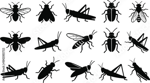 fly, grasshopper and beetle silhouettes set, insect icons, black vector bugs, nature, pest control, farm, garden illustration