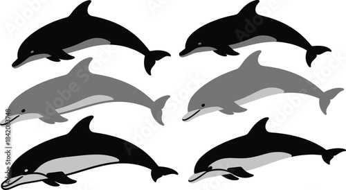 dolphin silhouettes and icons set, swimming marine mammals, black and gray vector sea animals, ocean wildlife, aquarium, nautical illustration