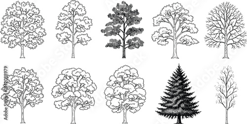 A conceptual collection of diverse hand-drawn tree illustrations, showcasing various species in detailed line art, perfect for botanical themes and nature-inspired design projects