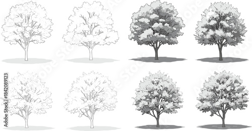 Diverse collection of monochrome tree illustrations showcasing various foliage densities and intricate shading techniques, ideal for graphic design and botanical art projects
