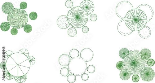Top-down view of stylized trees, illustrating botanical and landscape design elements