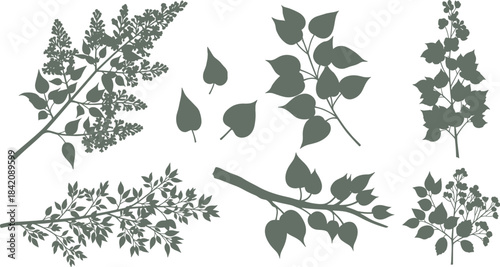 Collection of illustrative botanical elements featuring various types of leaves and branches in silhouette