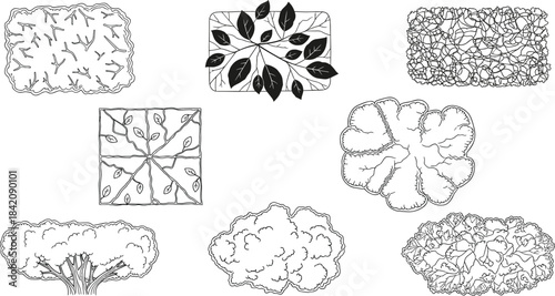 Collection of Diverse Top-Down Views of Various Trees and Bushes in Black and White Line Art Style