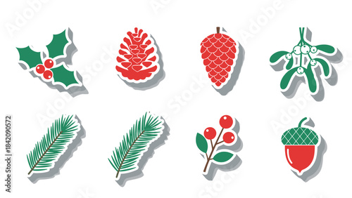 Collection of festive holly berries pine branches and pinecone