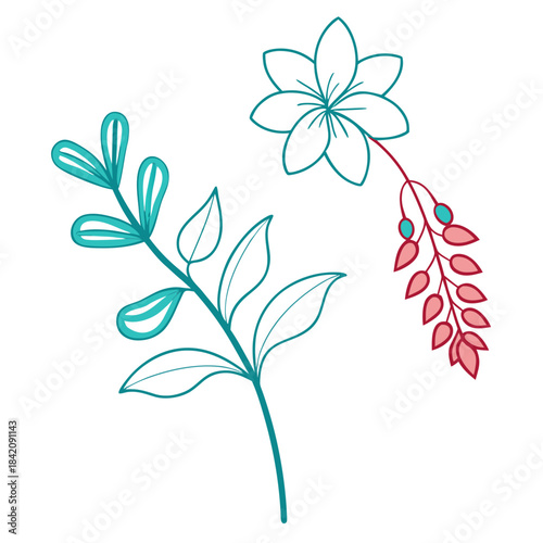 corydalis cava line art flower on white
