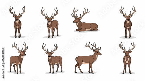 Collection of eight cartoon deer illustrations in various poses, including standing and lying down, on a white background.