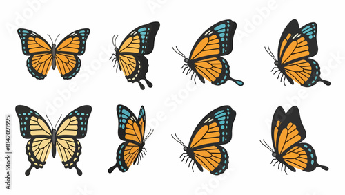 Set of eight hand-drawn illustrations of orange and black butterflies with blue accents in various flight poses on a white background.