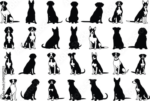 Collection of diverse dog silhouettes in various poses showcasing different breeds and body types