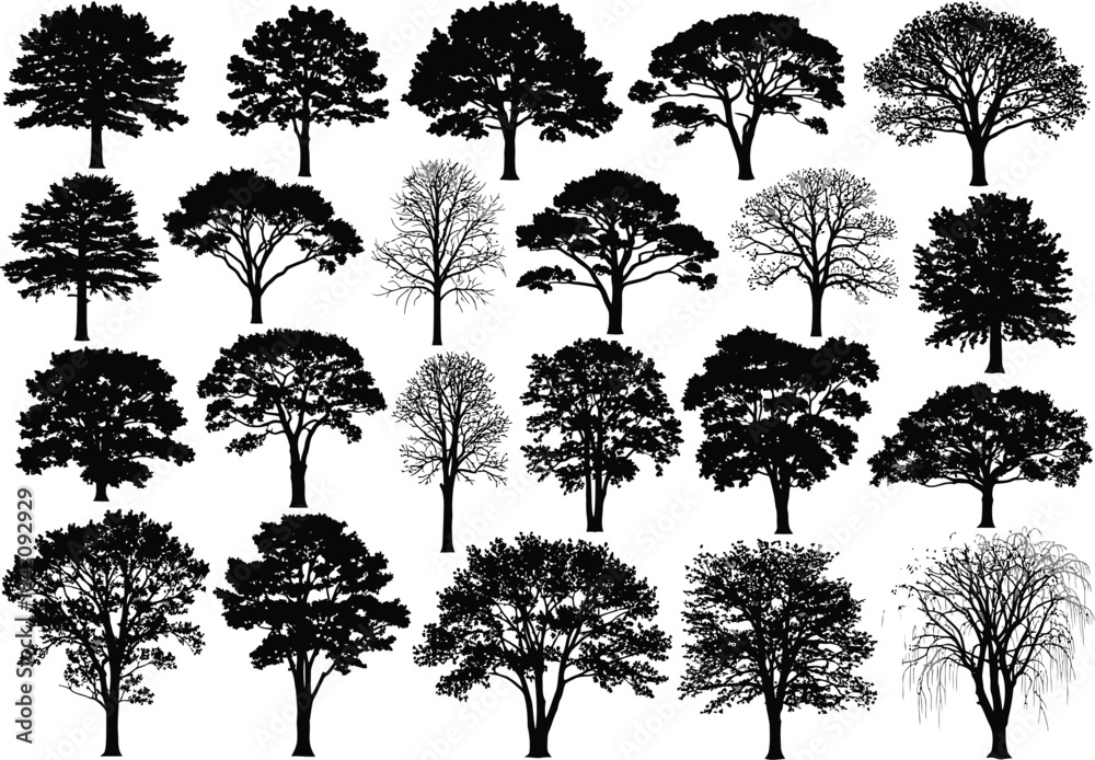 Fototapeta premium A comprehensive collection of diverse tree silhouettes including both leafy and leafless forms