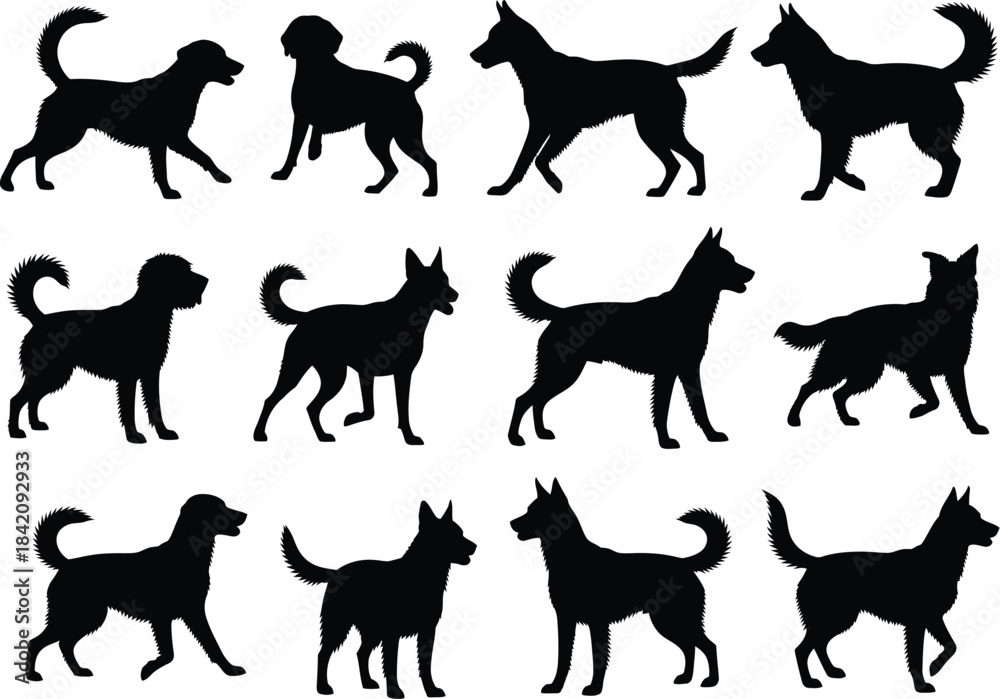 Obraz premium A diverse collection of black dog silhouettes showcasing various breeds and active poses