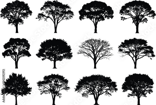 A collection of various tree silhouettes isolated on a white background for design.