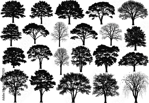 A comprehensive collection of diverse tree silhouettes including both leafy and leafless forms