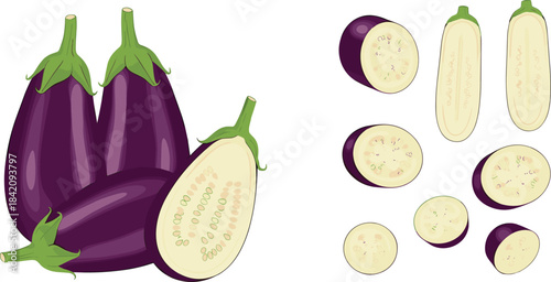 Whole and sliced eggplant vegetable illustration showing fresh purple aubergines with cross-sections and detailed texture in high-quality vector design.