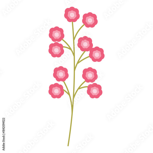 Pink Bellflower Illustration