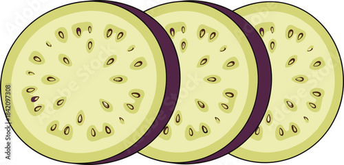 Fresh sliced eggplant illustration showing detailed cross-section texture with seeds and purple skin in clean vector food design.