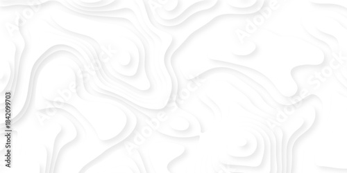 Abstract geography peak white wave paper curved reliefs. Seamless swirl wave contour maps. Vector illustration. topography line map.