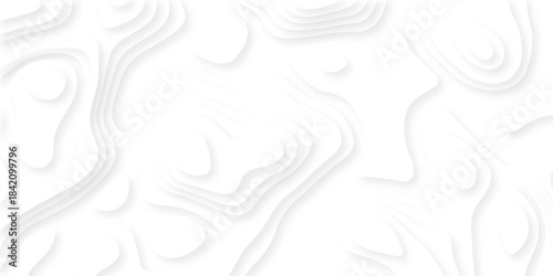 Abstract geography peak white wave paper curved reliefs. Seamless swirl wave contour maps. Vector illustration. topography line map.