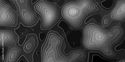 Abstract geography peak black and white wave paper curved reliefs. Seamless swirl wave contour maps. Vector illustration. topography line map.