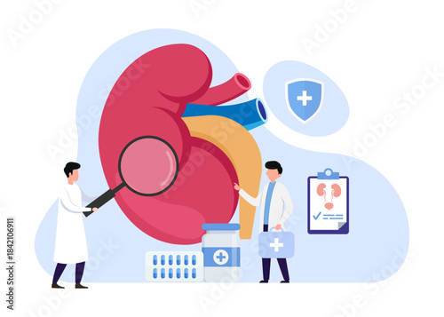 Doctor nephrologist diagnosing kidney stock illustration