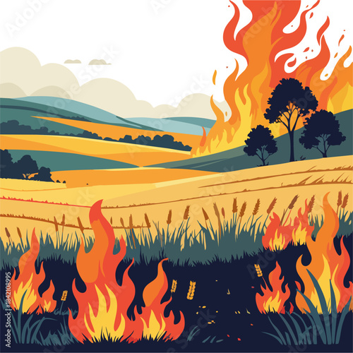 Flat vector illustration of wildfire in golden wheat field landscape, burning grass and trees with dramatic flames