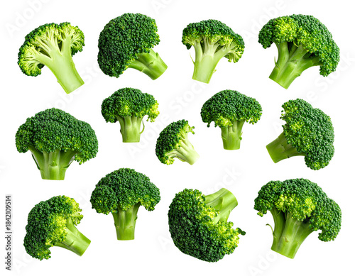 Broccoli Florets Top Down Flat Lay Isolated PNG