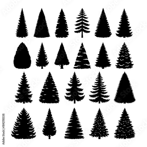 set silhouette of different Canadian pine trees. Conifer tree silhouettes on the white background Collection.