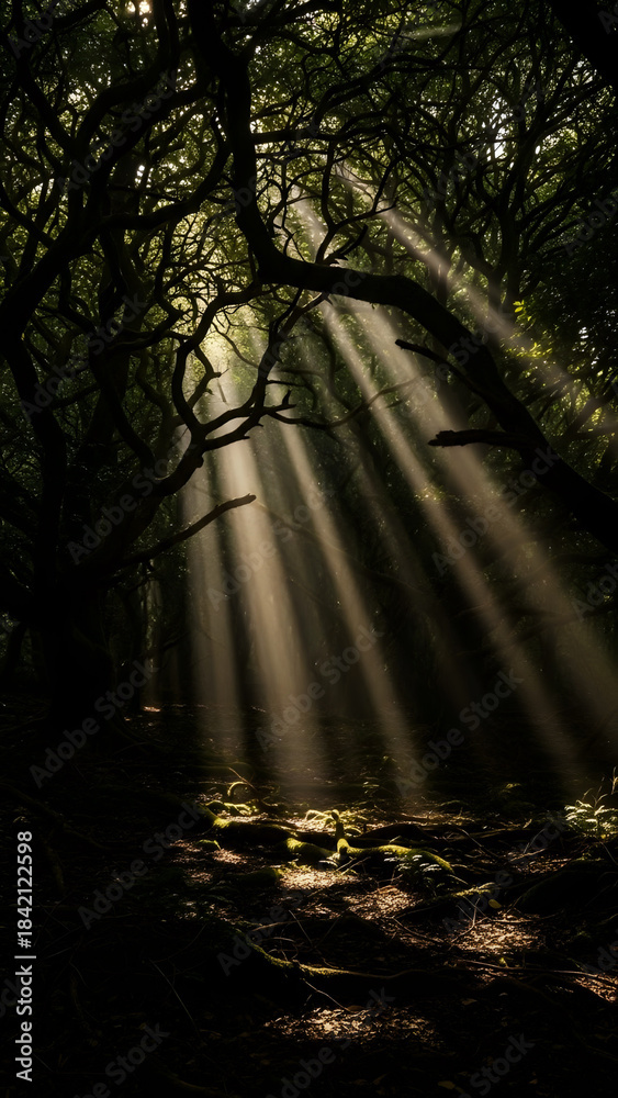Fototapeta premium sun rays in the forest, Sunbeams Piercing Through Forest Trees Create Magical Light Rays on a Quiet Woodland Path Morning