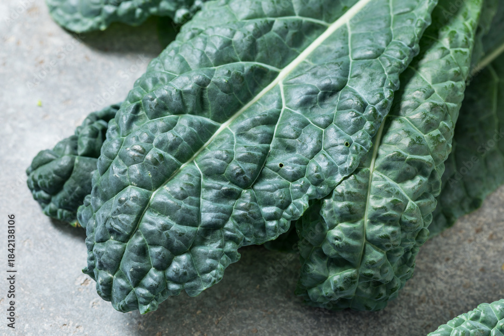 Fototapeta premium Healthy Italian Lacinato Dinosaur Kale