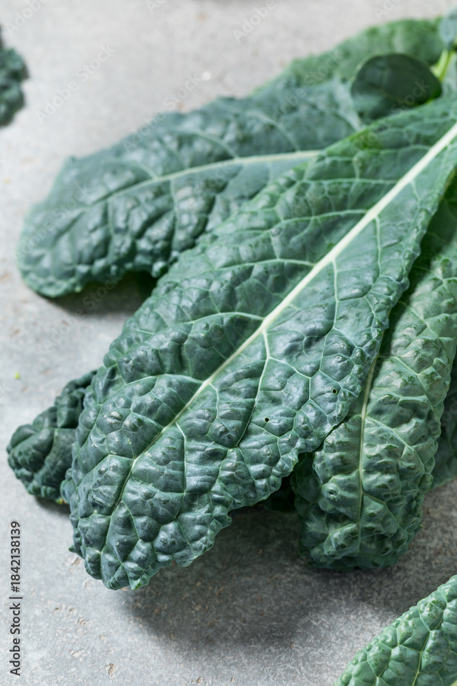 Obraz premium Healthy Italian Lacinato Dinosaur Kale