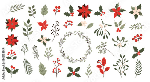 Festive winter botanical collection with poinsettias, holly, mistletoe, and berries, ideal for Christmas holiday designs.