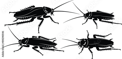 Four black silhouette cockroaches on a white background insect pest