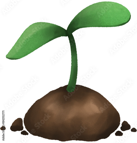 green plant growing from the ground