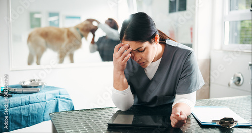 Tableau sur toile Veterinarian, headache and woman with pain, stress and overworked with pressure