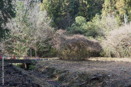 日本：金鑽御嶽（かなさなみたけ）城跡／法楽寺跡の平地／埼玉県神川町