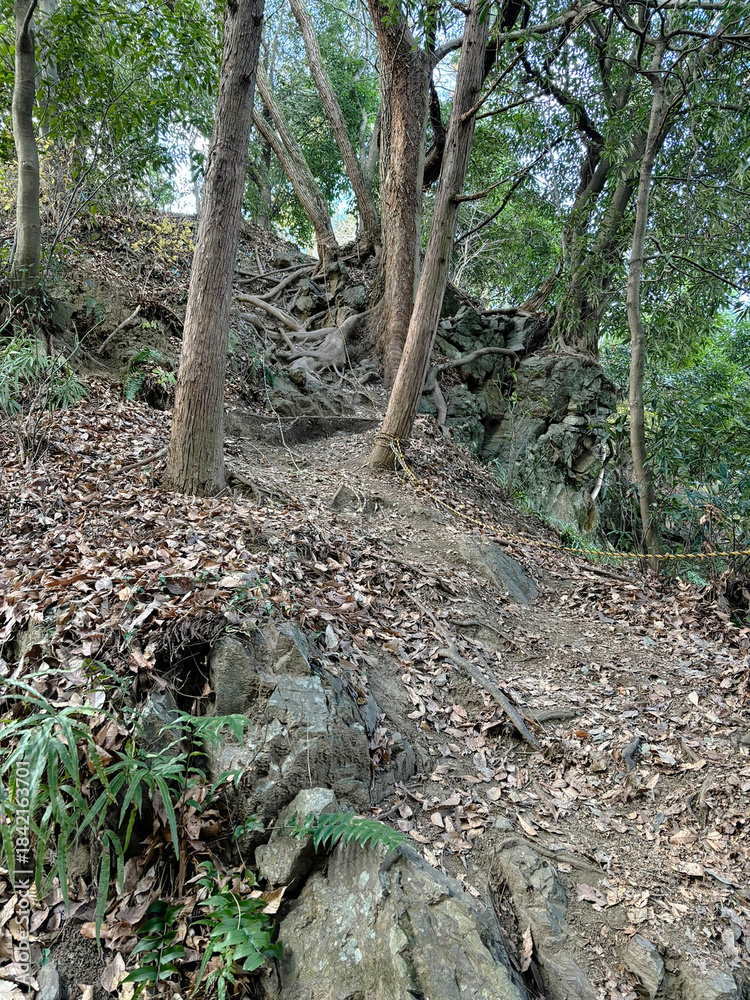 Obraz premium 日本：金鑽御嶽（かなさなみたけ）城跡／ロープが下がる岩場のコース／埼玉県神川町