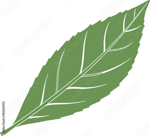 Realistic illustration of three mint leaves with a silver sphere isolated on transparent background