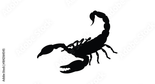 A striking black scorpion illustration with detailed features and a powerful posture a dramatic silhouette