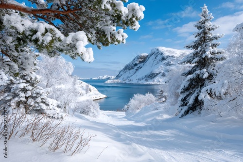 Winter landscape with snow covered trees and fjord