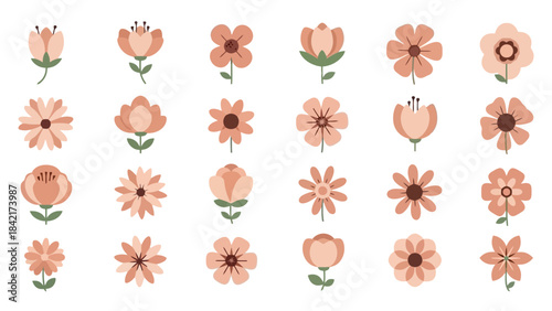 Collection of Simple Peach and Coral Flowers Vector Illustrations on White Background