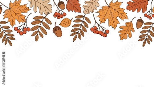 Autumn Leaves and Acorns Decorative Border with Fall Colors and Nature Elements