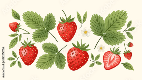 Vibrant Strawberry Illustration with Leaves and Flowers, Hand-Drawn Style