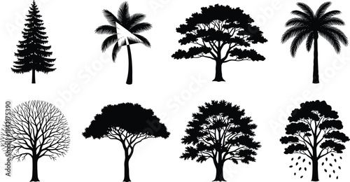 Collection of eight black tree silhouettes including pine palm deciduous and bare branched