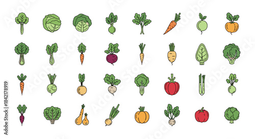 A large collection of fresh and healthy vegetables illustrated in a colorful line art style including carrots broccoli and tomatoes.